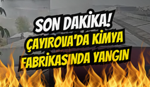 Çayırova'da Kimya Fabrikasında Yangın Paniği