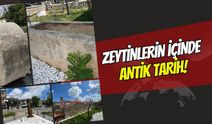 Zeytinlerin İçinde Antik Tarih: Dilovası Tavşancıl’da Bulunan Lahitin İlginç Hikayesi