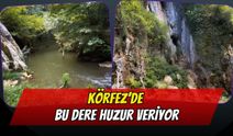 Körfez’de Doğayla İç İçe Rota
