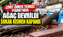 İzmit Ömer Tengiz Parkı’nda ağaç devrildi, sokak kısmen kapandı