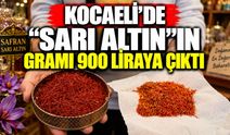 Kocaeli’de “sarı altın”ın gramı 900 liraya çıktı