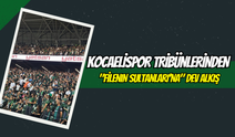 Kocaelispor Tribünlerinden "Filenin Sultanları'na" Dev Alkış