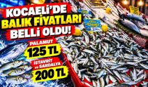 Kocaeli'de balık fiyatları belli oldu! Palamut 125 TL, istavrit 200 TL