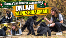 Kocaeli Darıca’daki özel hayvanat bahçesi kapanınca yolları İzmir’e düşen dört primat, yıllardır kendilerine bakan Tuğçe