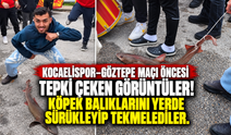 Kocaelispor–Göztepe maçı öncesi tepki çeken görüntüler! Köpek balıklarını yerde sürükleyip tekmelediler