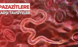 Parazitlere karşı tavsiyeler