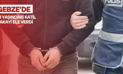 Genç katil Gebze'de yakalandı 