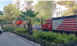 Konak’ta cadde üzerinde ağaç devrildi, araçta maddi hasar oluştu