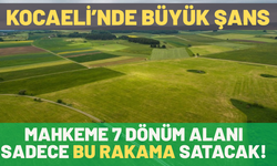 Kocaeli'nde 7 Dönüm Toprak Satılacak: Mahkeme Sadece Bu Fiyatı Istedi