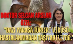 Doktor Selcan Arslan Özel: "Bazı yarasa türleri virüsü hastalanmadan taşıyabiliyor."