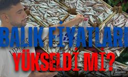 Pazarda balıkların fiyatı mı yükseldi?