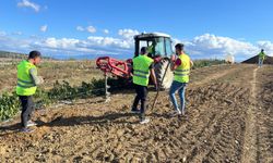 Yüzde 50 hibe ile Kocaeli’de tarım yeniden şekilleniyor