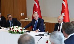 Cumhurbaşkanı Erdoğan, ABD İş Konseyi Başkanı Ulukaya ile görüştü