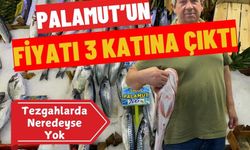 Palamut Tezgahlarda Neredeyse Yok: Fiyatı 3 Katına Çıktı