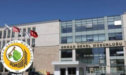 OGM’den büyük istihdam hamlesi. Yüzlerce kişiye iş fırsatı