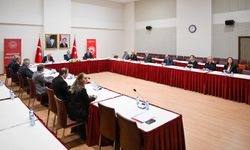 Kadının Güçlenmesi Kurulu, Vali Aktaş Başkanlığında Toplandı
