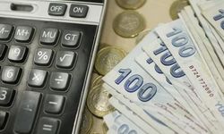 Kazanç beyanı düşük olan yandı! Hangi meslekler yıllık harç ödeyecek ?