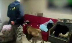 Sakarya ve Kocaeli’nde uyuşturucu operasyonu: 12 kişi tutuklandı