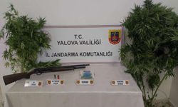 Hint keneviri yetiştiren zanlılara Adli Kontrol