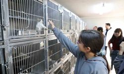 Gaziosmanpaşa’da miniklerden anlamlı etkinlik: Hayvanları koruma günü coşkuyla kutlandı
