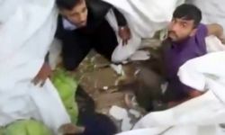 Lahanaların altından çıktı: Sakarya’da tırda 4 kaçak göçmen yakalandı