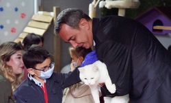 Minikler barınaktaki hayvanlarla buluştu