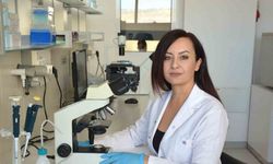 Ölümcül mantara karşı bilimsel seferberlik: 3 üniversite yeni ilaç için çalışıyor