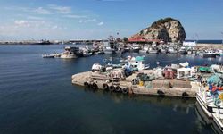 Palamut avı beklenenin çok altında kaldı