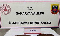 Sakarya’da jandarmadan zehir tacirlerine darbe: 2 şüpheli tutuklandı