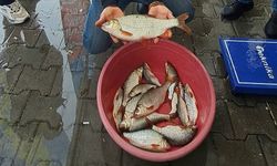 Sapanca’da Kızılkanat Balığı Yarışması Nefes Kesti