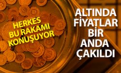 Yüksekten uçan altın yere sert indi
