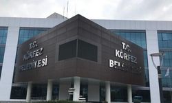 Körfez Belediyesi'nden Dikili Ağaç Satışı İhalesi
