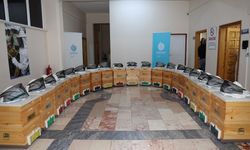 KO-MEK ile arıcılığın tüm incelikleri artık bir tık uzağınızda