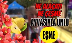 Ne Alaçatı Ne Çeşme, Ayvasıyla Ünlü Eşme