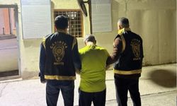 Dört şehirde 28 suçtan aranıyordu! Kocaeli'de yakalandı