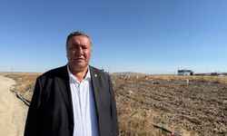Üretici isyan etti: “Bu tarlalarda çalışa çalışa battık, çiftçiliği bırakıyorum”