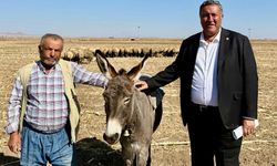 CHP’li Gürer’den dikkat çeken uyarı: Mera hayvancılığı bitme noktasında
