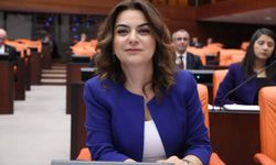 DEM'li Gülistan Koçyiğit’ten Geri Vites: Özür Diledi