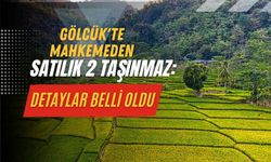 Gölcük'te Mahkemeden Satılık 2 Taşınmaz: Detaylar Belli Oldu