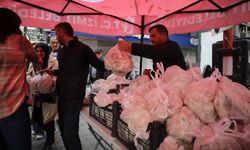 İzmit Belediyesi Ürettiği İstiridye Mantarlarını Vatandaşa Ücretsiz Dağıttı