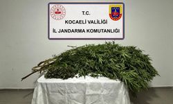Kocaeli’de jandarmadan Uyarıcı Madde operasyonu