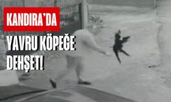 Kandıra’da Yavru köpeği kuyruğundan tutup yere vurdu