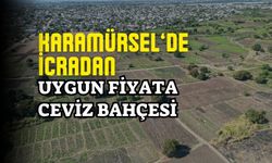 Karamürsel’de icradan uygun fiyata ceviz bahçesi