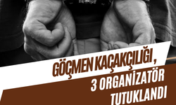 Sakarya’da Göçmen Kaçakçılığı Operasyonu