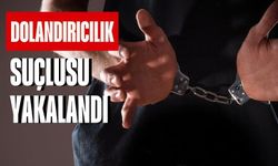 Kocaeli'de dolandırıcılıktan 5 yıl hapis cezası olan şahıs yakalandı