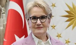 Meral Akşener'den İYİ Parti Paylaşımı: “İlk Günkü Heyecanı Hâlâ Taşıyorum”