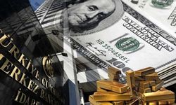 Merkez Bankası rezervleri  186 milyar dolar sınırını aştı