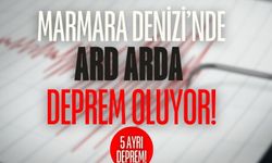 Marmara Denizi'nde Peş Peşe Deprem Oluyor