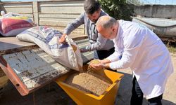 Kocaeli’de dikkat çeken uygulama! Çiftçilere selektör desteği ayağına geldi