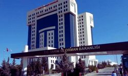 Tarım ve Orman Bakanlığı 200 personel alımı 2025 Şartları ve Kariyer Kapısı